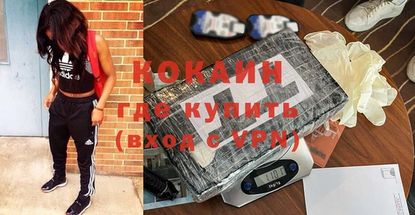дживик Баксан