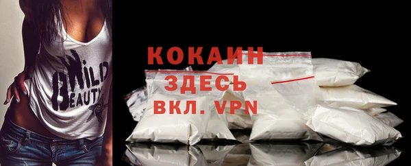 дживик Баксан