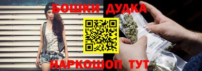 шишки Шебекино