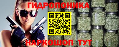 шишки Шебекино