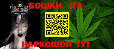 индика Шахты