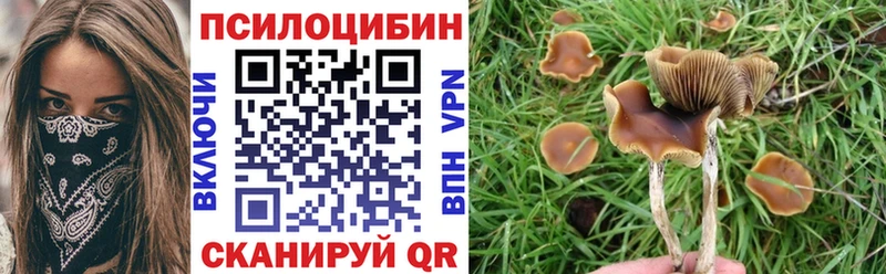 Псилоцибиновые грибы GOLDEN TEACHER  blacksprut ссылка  Заречный 