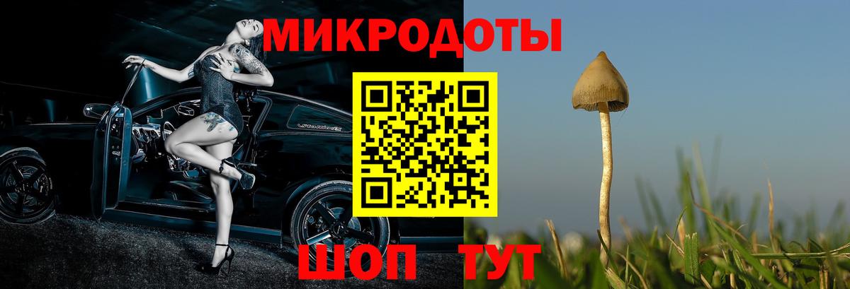 Галлюциногенные грибы мухоморы  Псилоцибиновые грибы мухоморы  Вход с VPN  Заречный 